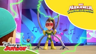 🥁 Hipnoritmul  Păienjenelul Marvel și prietenii lui uimitori  Disney Junior România [upl. by Aciret439]