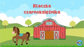 KLACZKA CZARNOKSIĘŻNIKA 🐴 słuchowiska dla dzieci audiobook dla dzieci 🎧 [upl. by Ainimre]