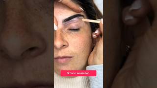 Brows Lamination in seconds 8 juliedesigner ytshortsuk youtubeshorts brows [upl. by Gan621]