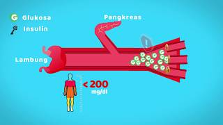 Fakta Tentang Diabetes Tipe  Penyebab  Gejala  Mencegah [upl. by Idorb]