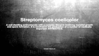 Medical vocabulary What does Streptomyces coelicolor mean [upl. by Yorled]