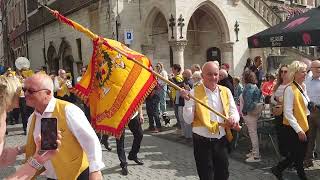 Processie van plaisance Geraardsbergen 27082023 [upl. by Eletnahs]