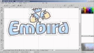 Machine Embroidery Digitizing  How to digitize fill object with Embird Studio [upl. by Ytirahs]