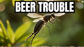 The Shocking Reason Beer Makes Mosquitoes Attack Humans [upl. by Inahet]