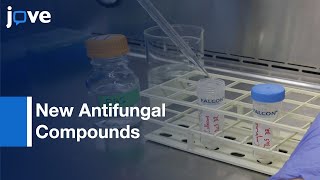 Broth Microdilution Screening Method Detect New Antifungal Compounds l Protocol Preview [upl. by Kalbli]