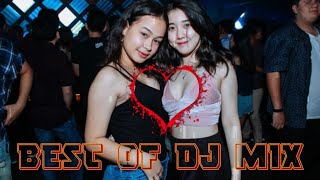 BEST OF DJ MIX [upl. by Alac943]