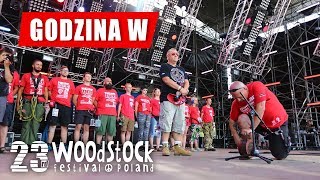 Godzina W  Przystanek Woodstock 2017 [upl. by Nyberg265]