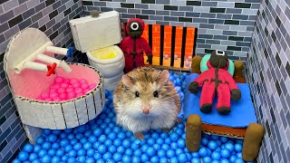 🐹 HAMSTER ESCAPE Squid Game Jail Maze 😲 Real life Police traps [upl. by Aerdnwahs]