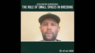 Accelerating Generations  The Role of Small Spaces in Cannabis Breeding Work [upl. by Ednew]