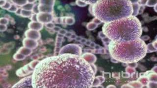 Streptococcus Pneumoniae Hybrid Medical Animation [upl. by Idnir999]