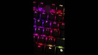 Tecware Phantom 104 sound test Wraith Brown Switches [upl. by Feigin]