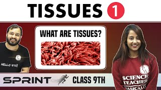 Tissues 01  What are Tissues  Class 9  NCERT  Sprint [upl. by Read]