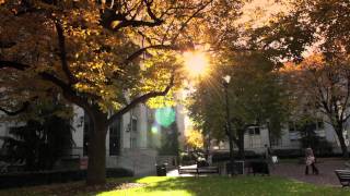 Northeastern University in the Fall [upl. by Azmah]