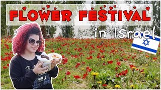 Darom Adom  Flower Festival in Israel [upl. by Prissie]