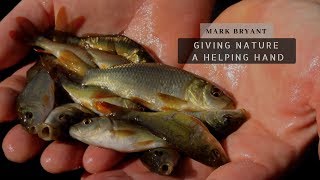 Carp Fishing  Growing Baby Carp  Giving Nature A Helping Hand [upl. by Emmey]