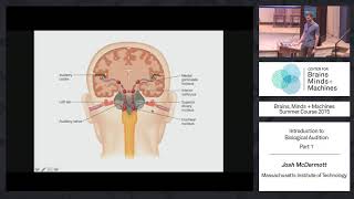 Lecture 71 Josh McDermott  Introduction to Audition Part 1 [upl. by Adnohsad163]