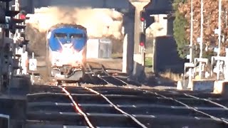 Amtrak Coast Starlight 11 with Tons of K5LA in East Portland [upl. by Thomasina]