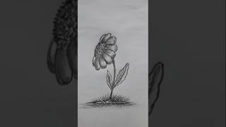 Easy flower drawinghow to draw flowerdrawing arttutorial drawingforbiggenersshorts [upl. by Aek]