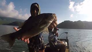 Watauga Lake Spotted Bass [upl. by Arodasi996]