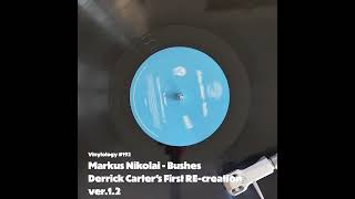 Markus Nikolai  Bushes Derrick Carters First RE creation ver 1 2 [upl. by Iosep263]