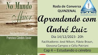 Aprendendo com André Luiz  livro No Mundo Maior Cap 4 Estudando o Cérebro [upl. by Wesla641]