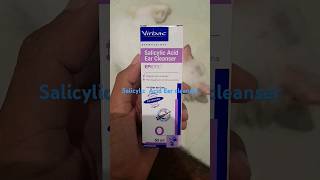 Salicylic Acid Ear Cleanser 🐕🐈🐱🐶 anime [upl. by Einahpehs524]