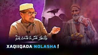 Muxaadaro Nolashaada raad ku reebi doonta 😭  Xaqiiqada Nolasha Aduunka  Sheekh Mustafe  eegmada [upl. by Ary]