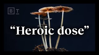 The “heroic dose” of psychedelics according to Johns Hopkins  Dr Matthew Johnson [upl. by Hooper8]