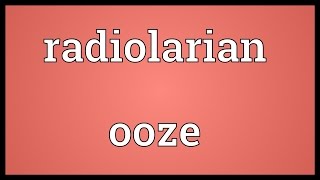 Radiolarian ooze Meaning [upl. by Nylecsoj783]