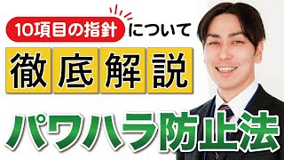 【解説】企業は何をするべき？パワハラ防止法の10項目の指針についてハラスメントのプロが徹底解説！ [upl. by Hnilym524]