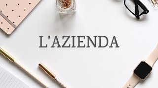 La Definizione di Azienda  Economia Aziendale per tutti [upl. by Rimidalb]