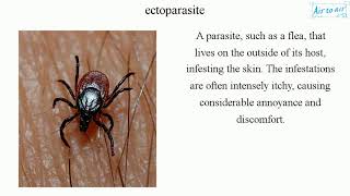 ectoparasite [upl. by Asimaj414]