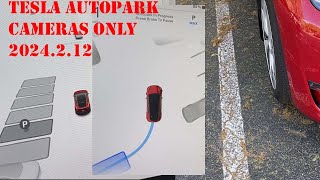 Tesla Autopark for HW4 [upl. by Animrac]