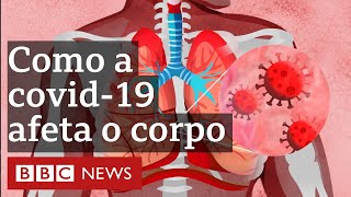 Em 3 minutos entenda como a covid19 afeta o corpo humano [upl. by Gazo]