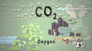 Climate Science in a Nutshell 4 Too Much Carbon Dioxide [upl. by Dove]