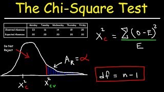 Chi Square Test [upl. by Ordnassela24]