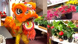 2024 Boston Chinese Lion Dance  Lunar New Year Flower Market Chinatown White Crane Opening Event [upl. by Bolten]