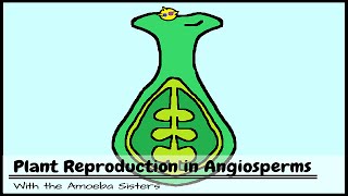 Plant Reproduction in Angiosperms [upl. by Helm]