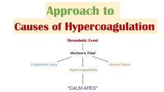 quotExcessive Clottingquot HYPERCOAGULATION  Virchow’s Triad  Causes of Venous and Arterial Thrombosis [upl. by Nedap754]