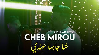 Cheb Mirou Ft Djihad Pitos  شا جابها عندي Live Cover 2023 [upl. by Thamos651]