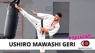 USHIRO MAWASHI GERI  allenamento CALCI GIRATI [upl. by Carmel]