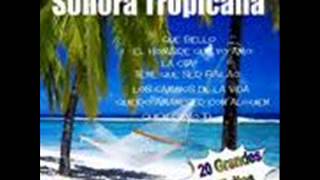 sonora tropicana la cita [upl. by Shevlo]