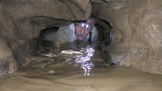 Stalagmites Point to Caves Shaky History [upl. by Kcirdle]