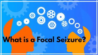 What is a focal seizure [upl. by Odama]