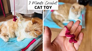 2 Minute EASY Crochet Cat Toy  Cat Toy Crochet Tutorial for Beginners [upl. by Gnil]