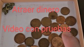 Cómo atraer dinero vídeo con pruebas del resultado [upl. by Noira]