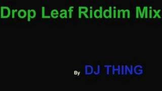 drop leaf riddim mix  dj thing [upl. by Carolin18]