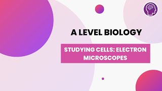 Studying Cells Electron Microscopes  A Level Biology  OCR AQA Edexcel [upl. by Casia]