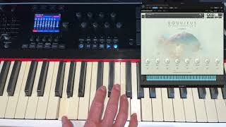 Equuleus Kontakt Instrument  Teaser 2 [upl. by Corel]