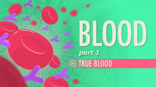 Blood Part 1  True Blood Crash Course Anatomy amp Physiology 29 [upl. by Ricki740]